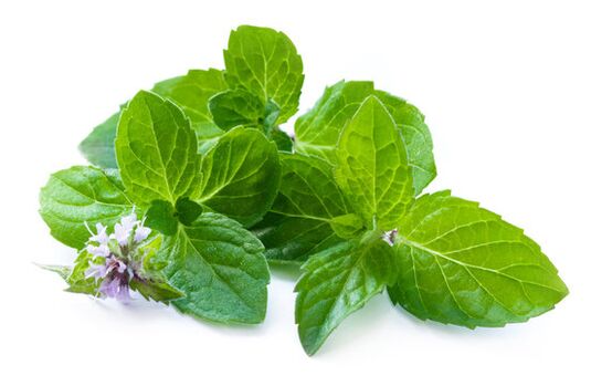 Follas de menta no spray zxcvbnmqwert