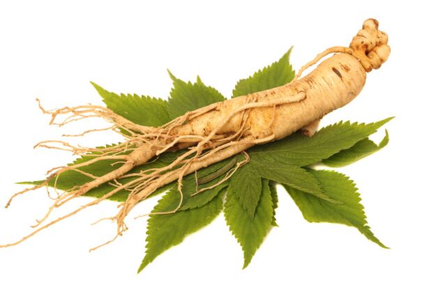 raíz de ginseng no spray de Nicode