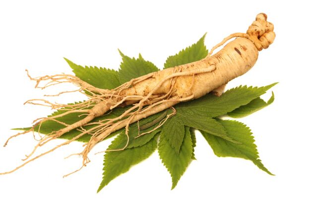 raíz de ginseng no spray zxcvbnmqwert